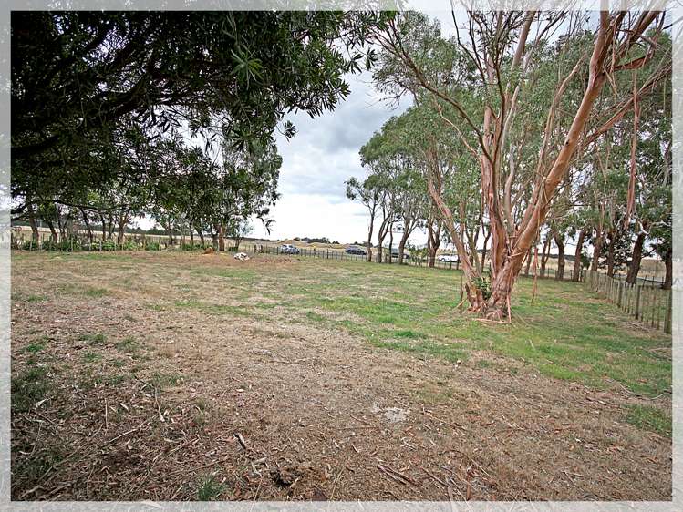 332 Foxton Shannon Road Foxton_16