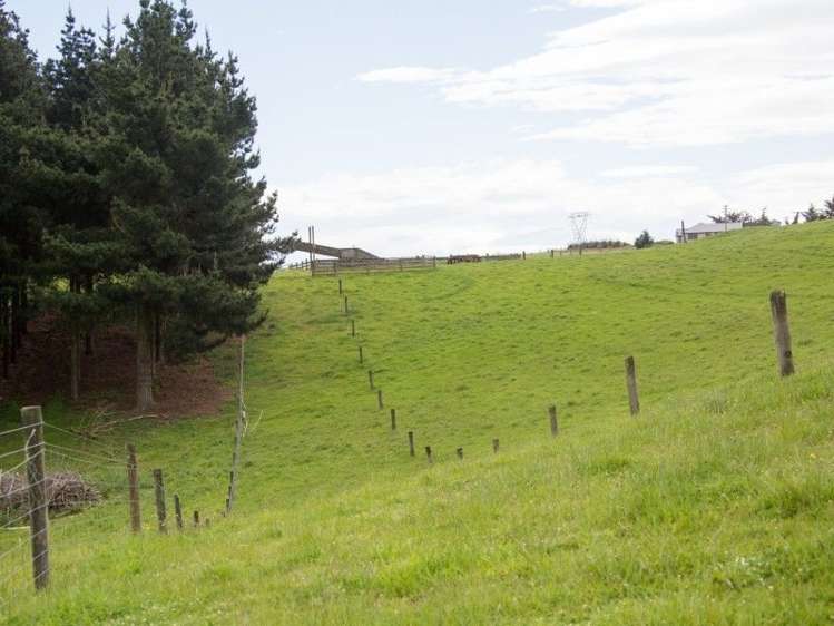 221 Driscoll Road Levels Valley_21