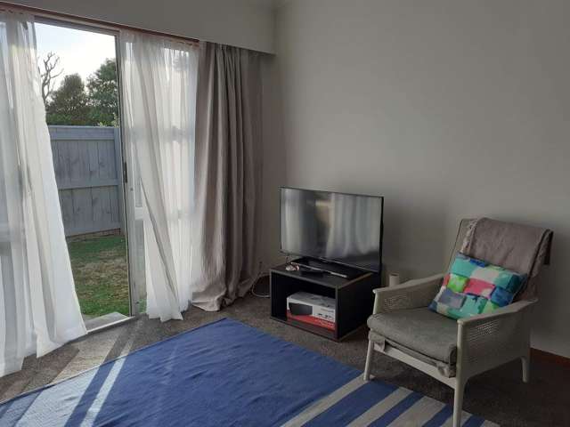 18b Martin Street Palmerston North Central_1