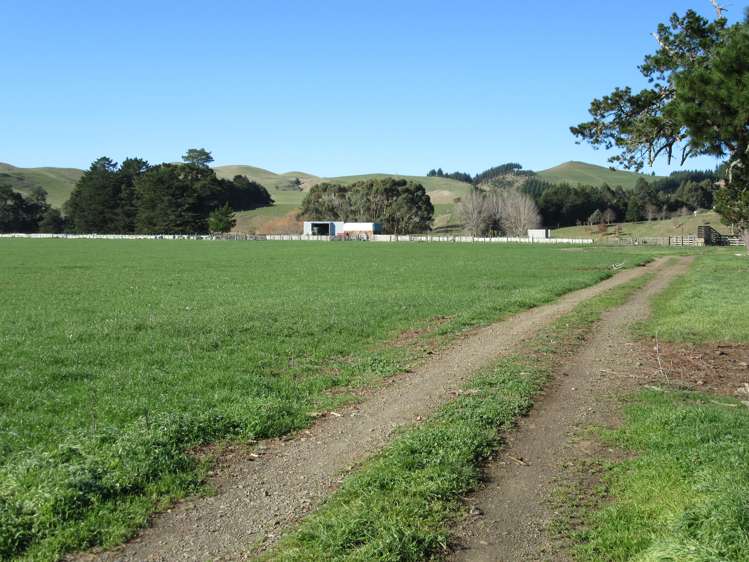 3245 State Highway 2 Takapau_7