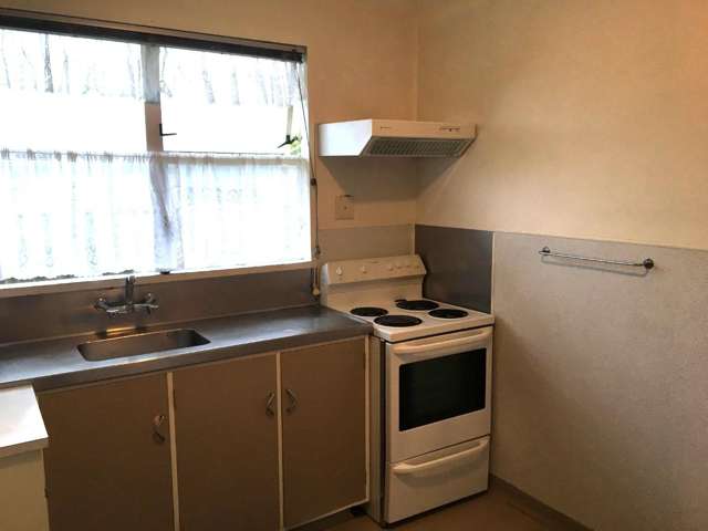 511a Featherston Street Roslyn_1