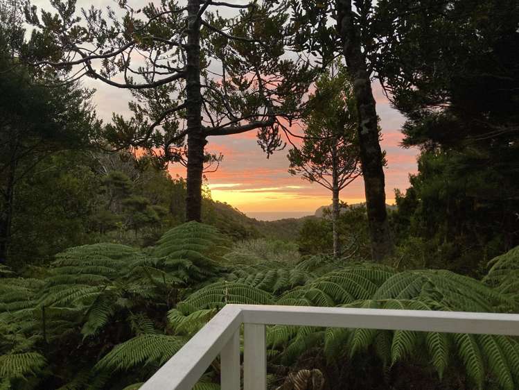 101-103 Lone Kauri Road Karekare_27