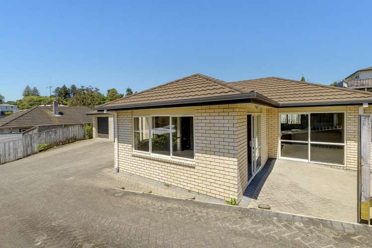 455B Fraser Street Parkvale_17