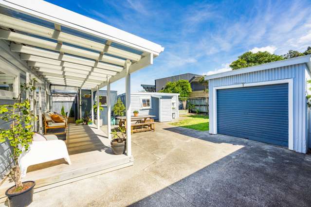 25 Riddlers Crescent Petone_1