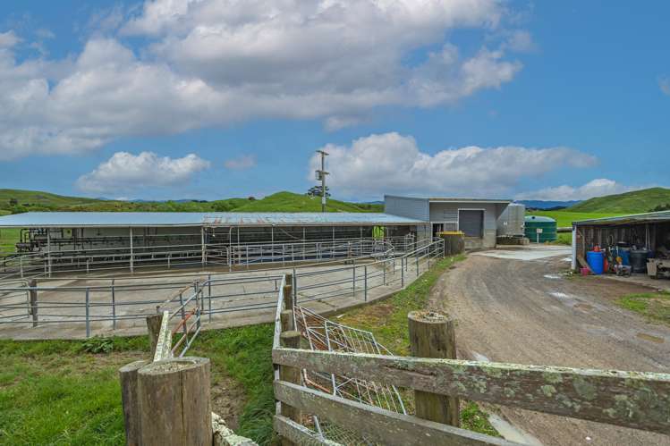 250 North Road Eketahuna_11