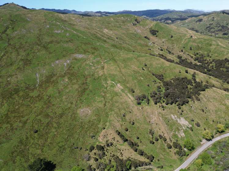 White Rock Road Martinborough_14