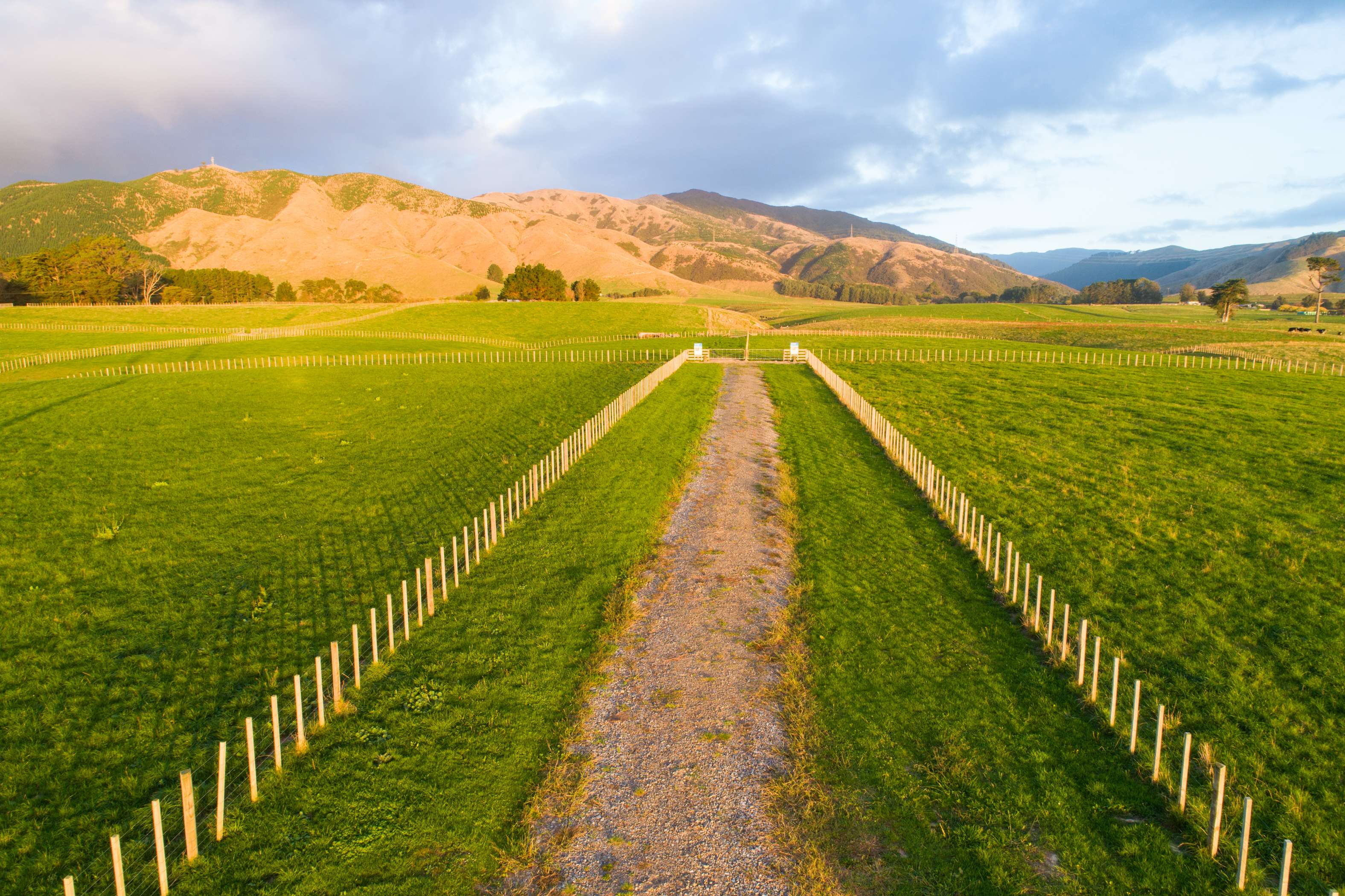 Tokomaru East Road Subdivision Tokomaru Horowhenua Rural Property