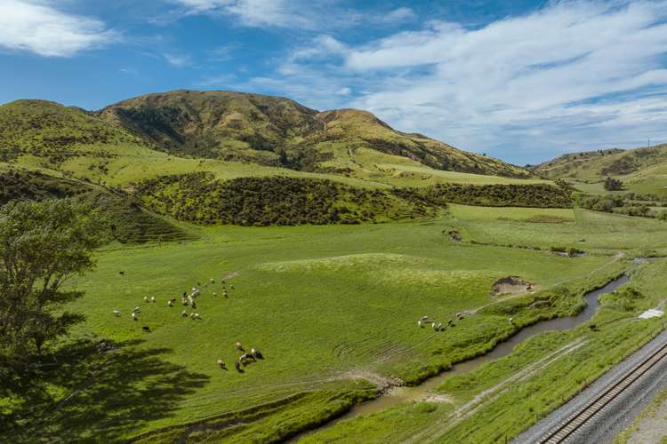 7797 State Highway 1 Ward_14