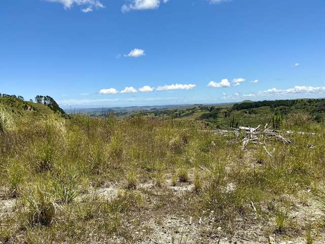 Lot 2 & 4 DP558999 & DP560071 Dill Road Kaipara Flats_3