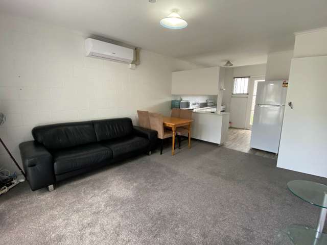 Lush Avenue St Johns_4