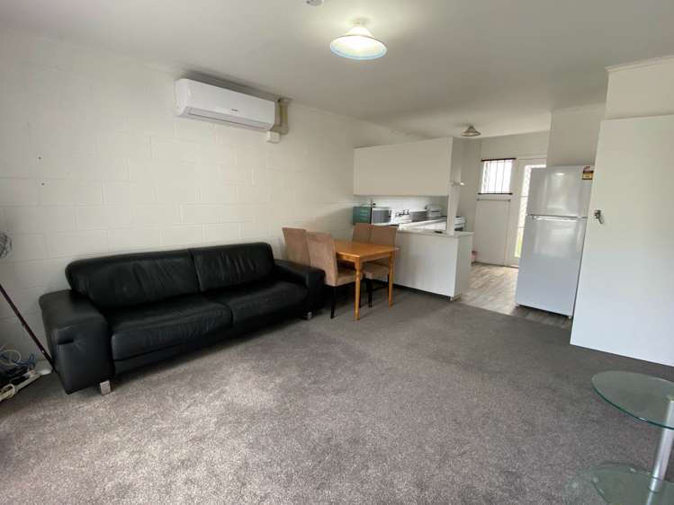 Lush Avenue St Johns_4