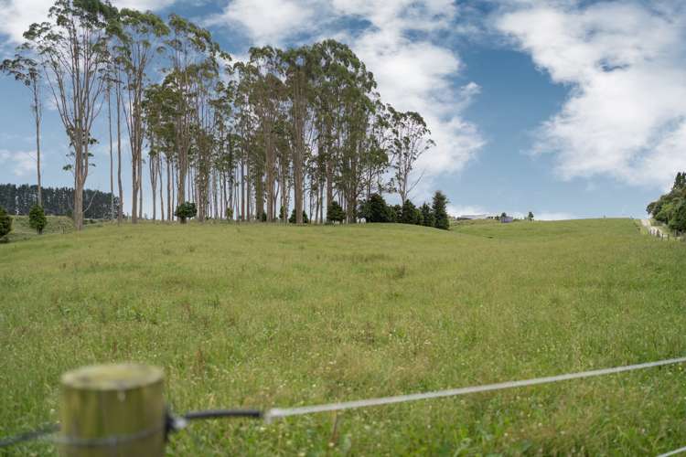 1300 Pongakawa Bush Road Pongakawa_18