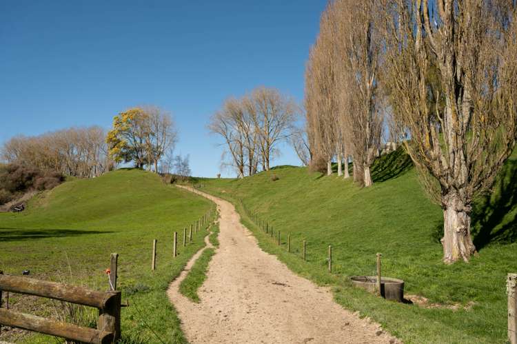 145 Totara Road Ngakuru_5