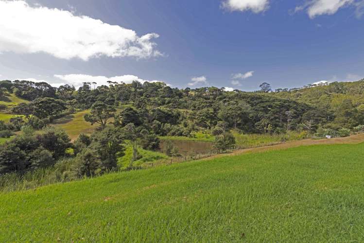 63b Manuka Grove Helensville_19