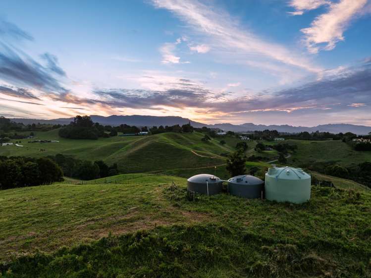 371 Esdaile Road Whakamarama_30