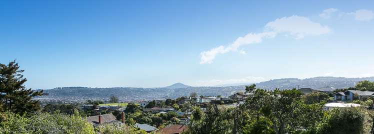 9 Scobie Road Waverley_4