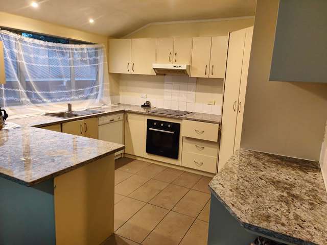 486A Hillsborough Road Mount Roskill_2