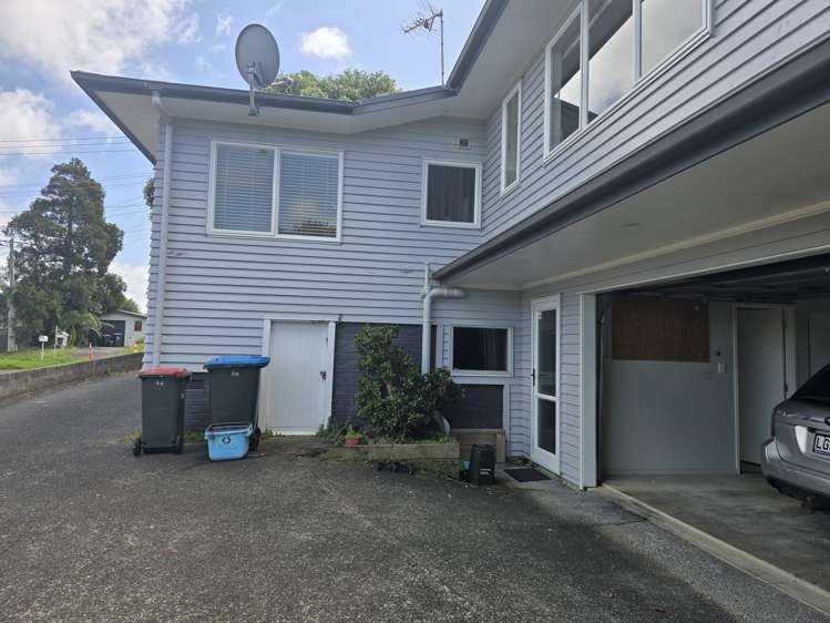 20 Penney Avenue Mount Roskill_1