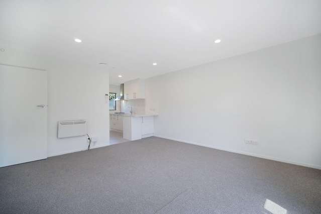 1/61 Ballarat Street Ellerslie_2