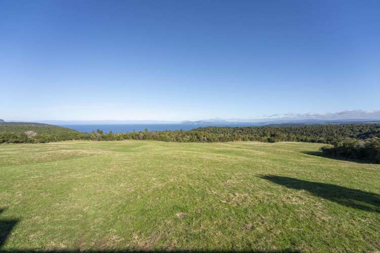 1679 Whangamata Road Marotiri_11