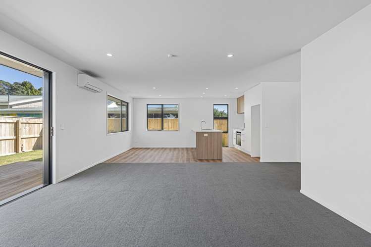 45A Princess Street Waitara_6