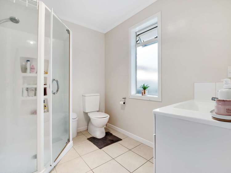 3d Pitt Street Frankton_8