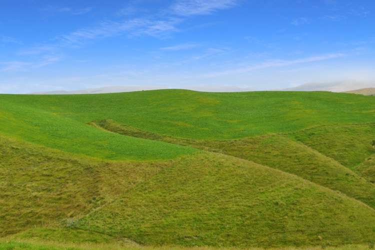 Fuchsia Creek Road Waitaki_10