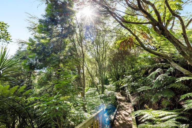 104 Rosebanks Drive Tamahere_8