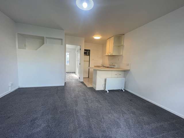1/4 Wynyard Road Mount Eden_3