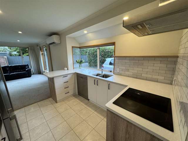 3B Chilcombe Street Ilam_4