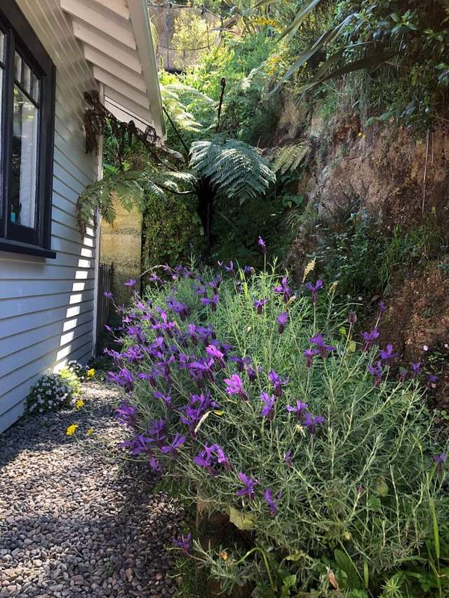 274 Ohiro Road Brooklyn_2