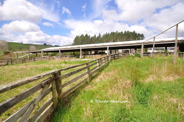 726 Paparoa Station Road Maungaturoto_45