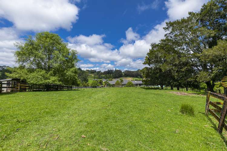 99 Potter Road Dairy Flat_18