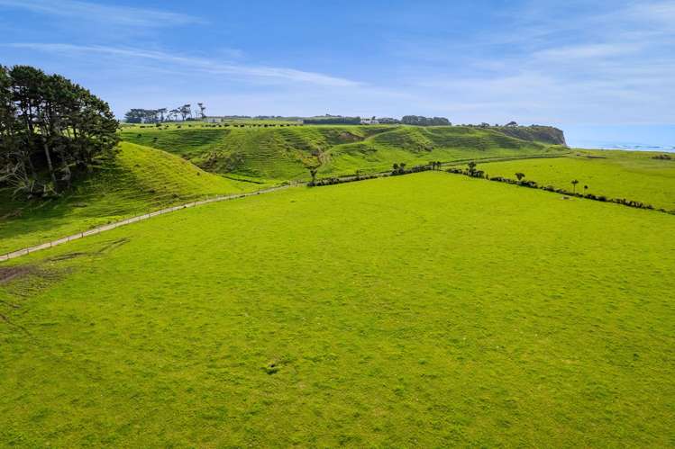78A Waitoetoe Road Urenui_32