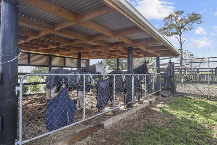 34 Hetherington Road Tirau South Waikato Rural Property For Sale