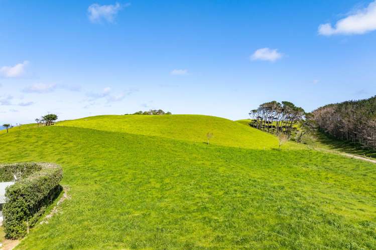 Lot 5 Mahuta Road Dargaville_22