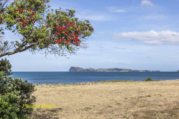 147 Vista Paku Pauanui_25