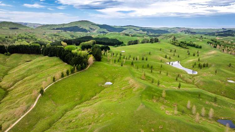 139 Clareinch Road Omakere_2