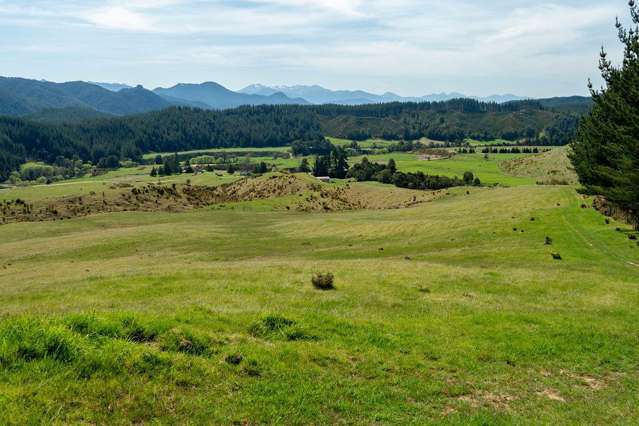 1584 Tadmor-Glenhope Road Tapawera_1