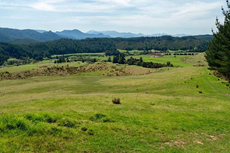 1584 Tadmor-Glenhope Road Tapawera_1