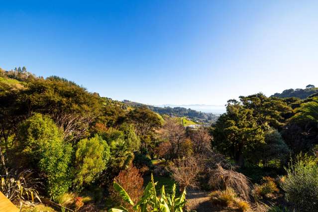 87 Biggsburn Way Todds Valley_1