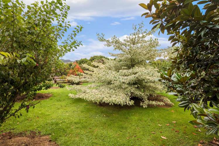 4 Reservoir Road Waihi_6