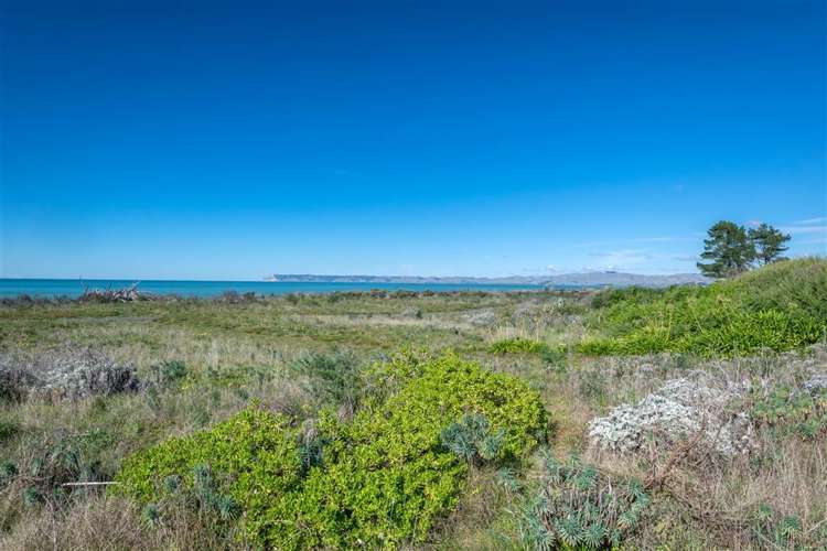 222 Rarangi Beach Road Rarangi_12