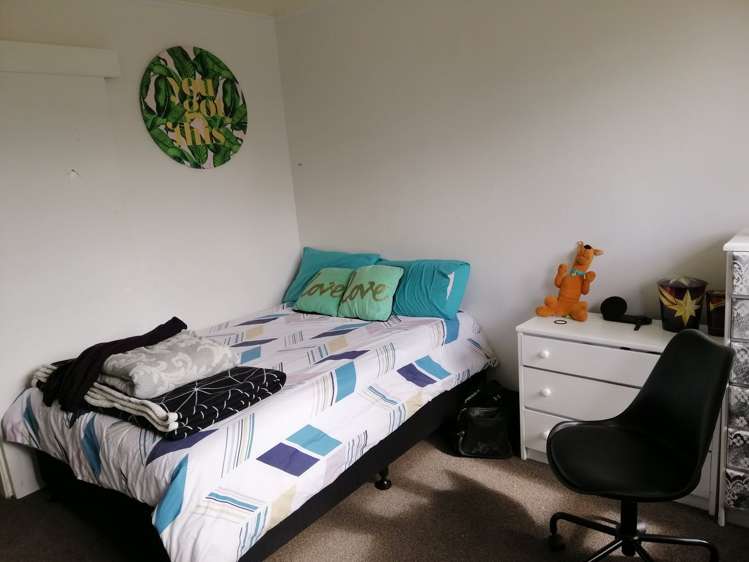 2 Suda Place Panmure_4