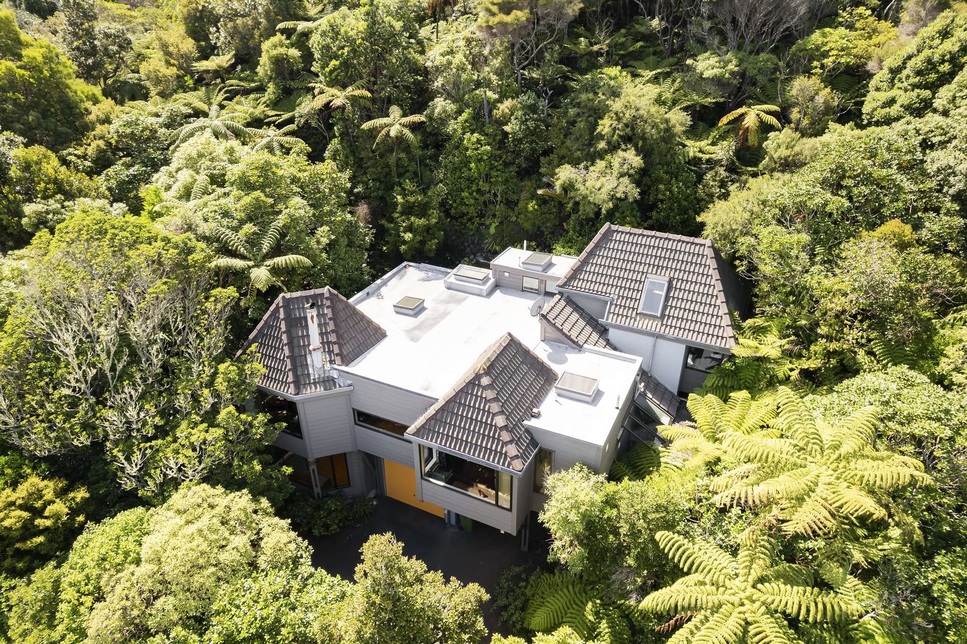 17 Dillon Street Lowry Bay_0