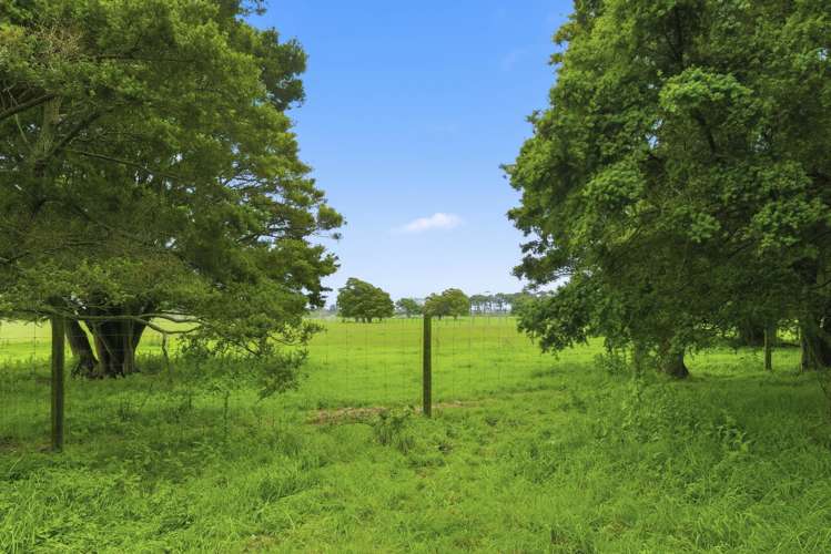 81 Muhunoa West Road Ohau_32