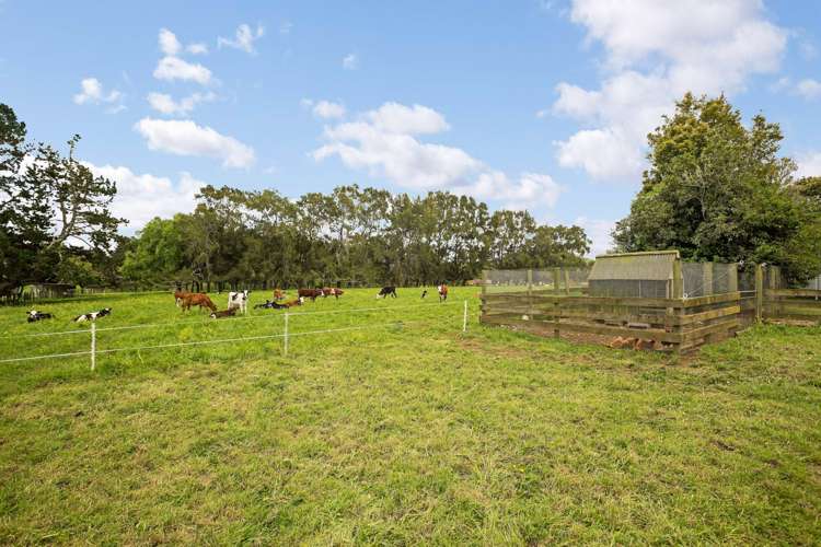 1559a Churchill Road Pukekawa_11