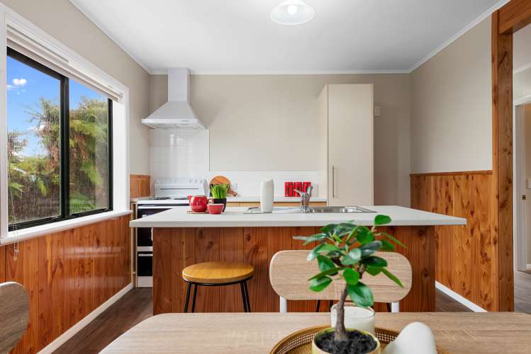 19 Mamaku Street Mamaku_9