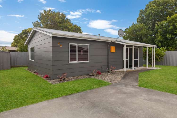 3a Kettle Avenue Awapuni_16