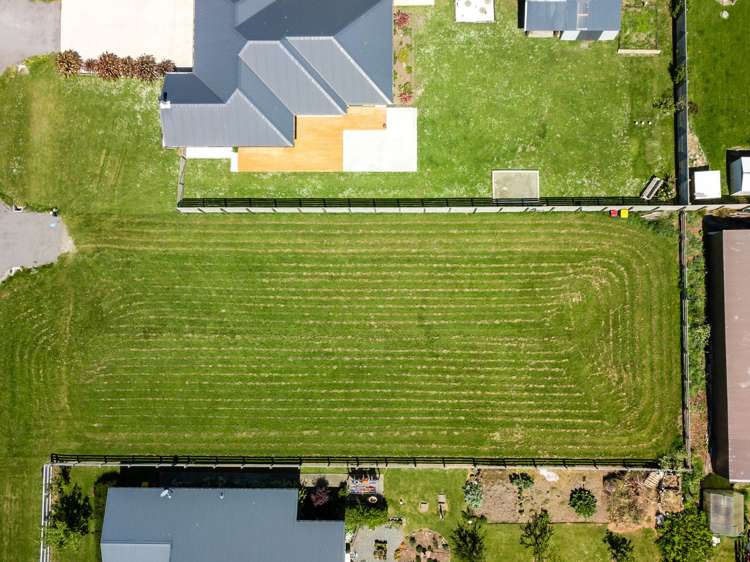 5 Princes Street Springfield_9